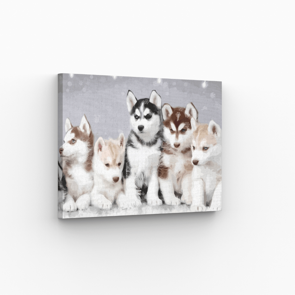 Malen nach Zahlen, Hunde, Huskies, Welpen