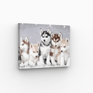 Malen nach Zahlen, Hunde, Huskies, Welpen