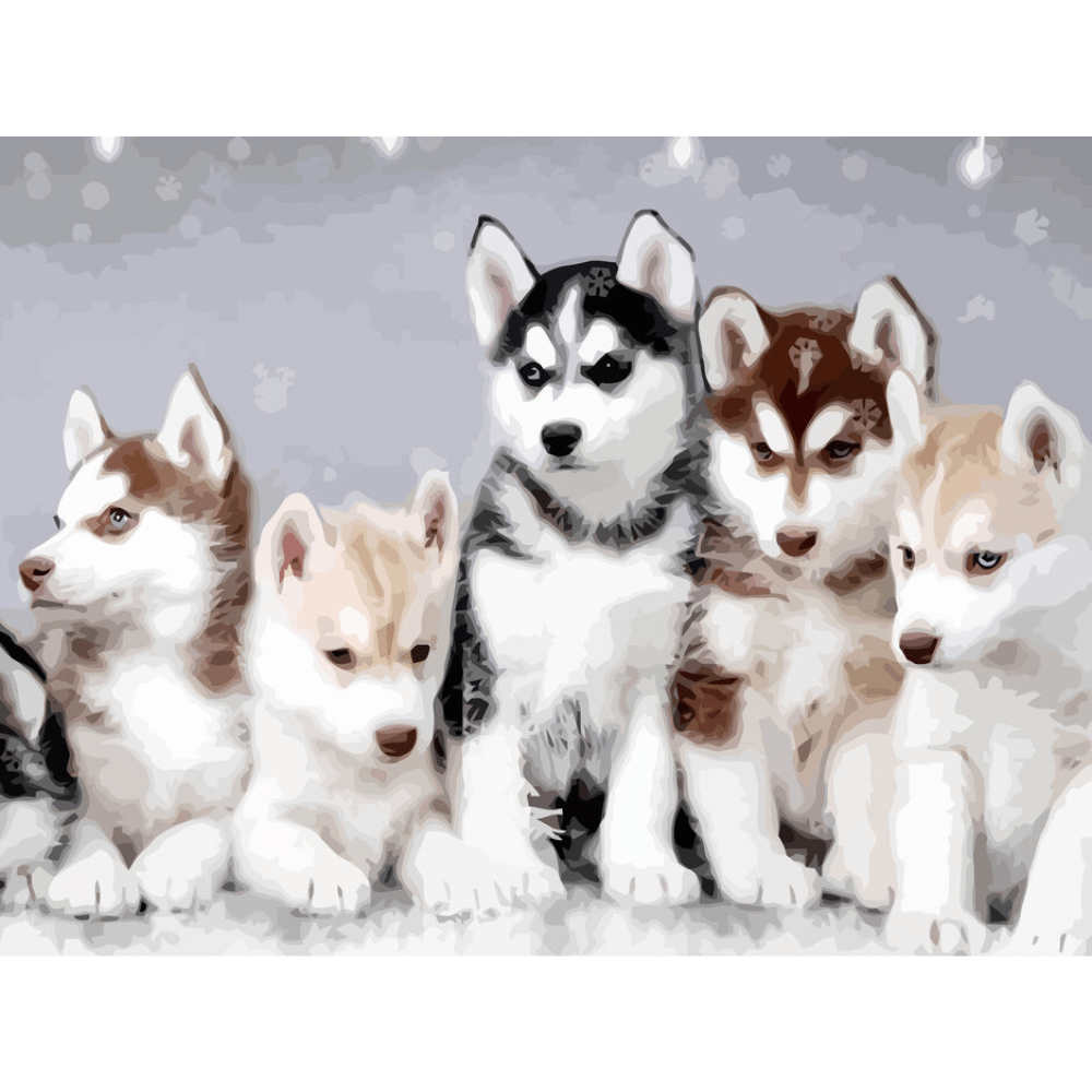 Malen nach Zahlen, Hunde, Huskies, Welpen