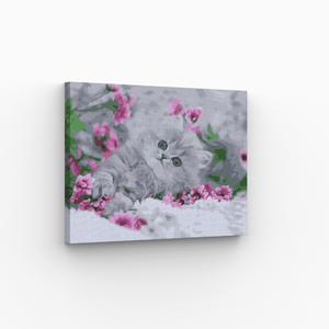 Malen nach Zahlen, Kätzchen mit Blumen