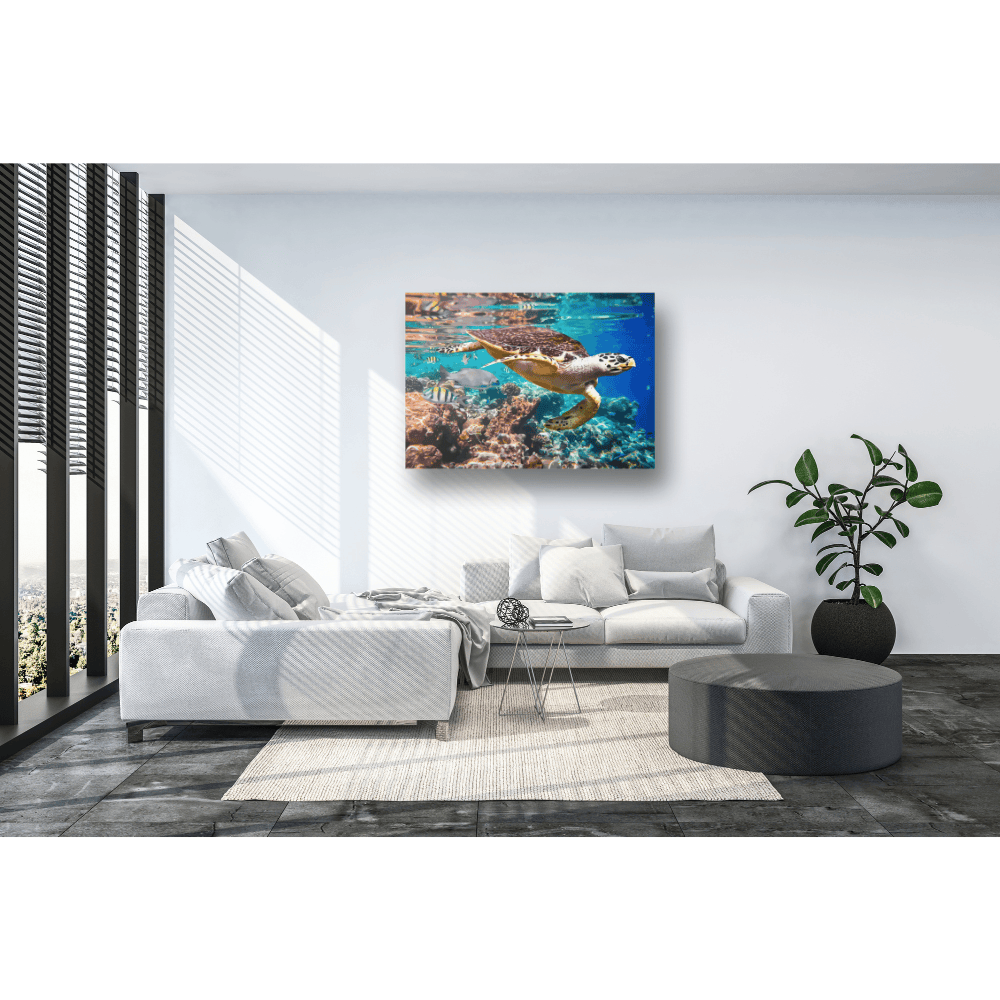 Malen nach Zahlen, Meeresschildkröte im Korallenriff