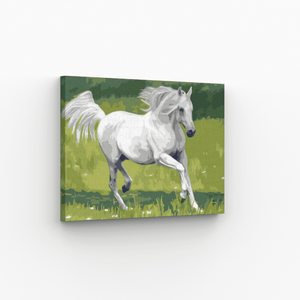 Malen nach Zahlen, Schimmel auf der Weide