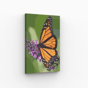 Malen nach Zahlen, Monarchfalter auf Blüte