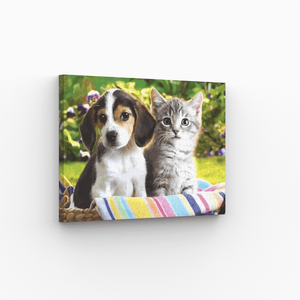 Malen nach Zahlen, Welpe mit Kitten