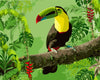 Malen nach Zahlen Tukan im Regenwald 