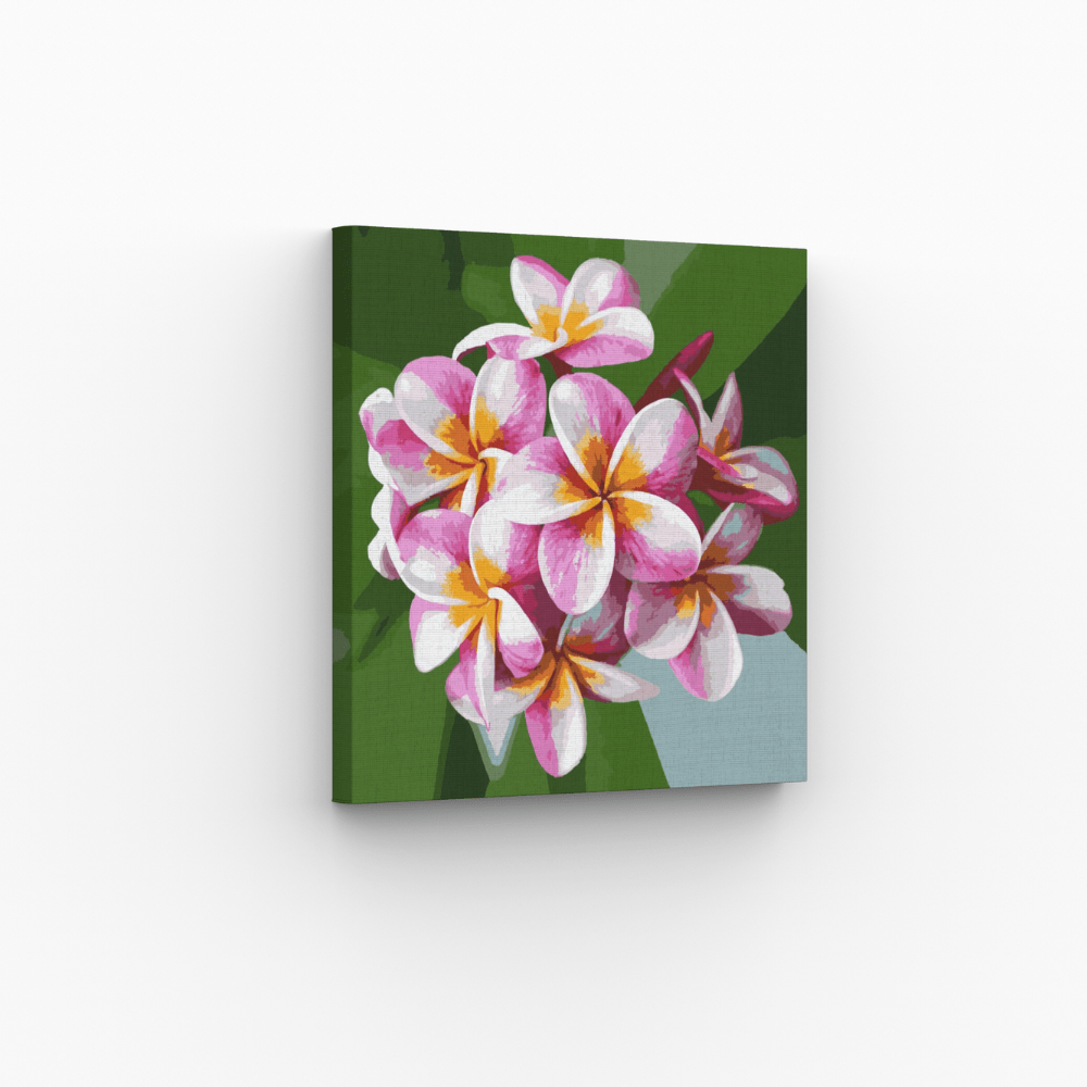 Plumeria Blume, Musterbild gerahmt