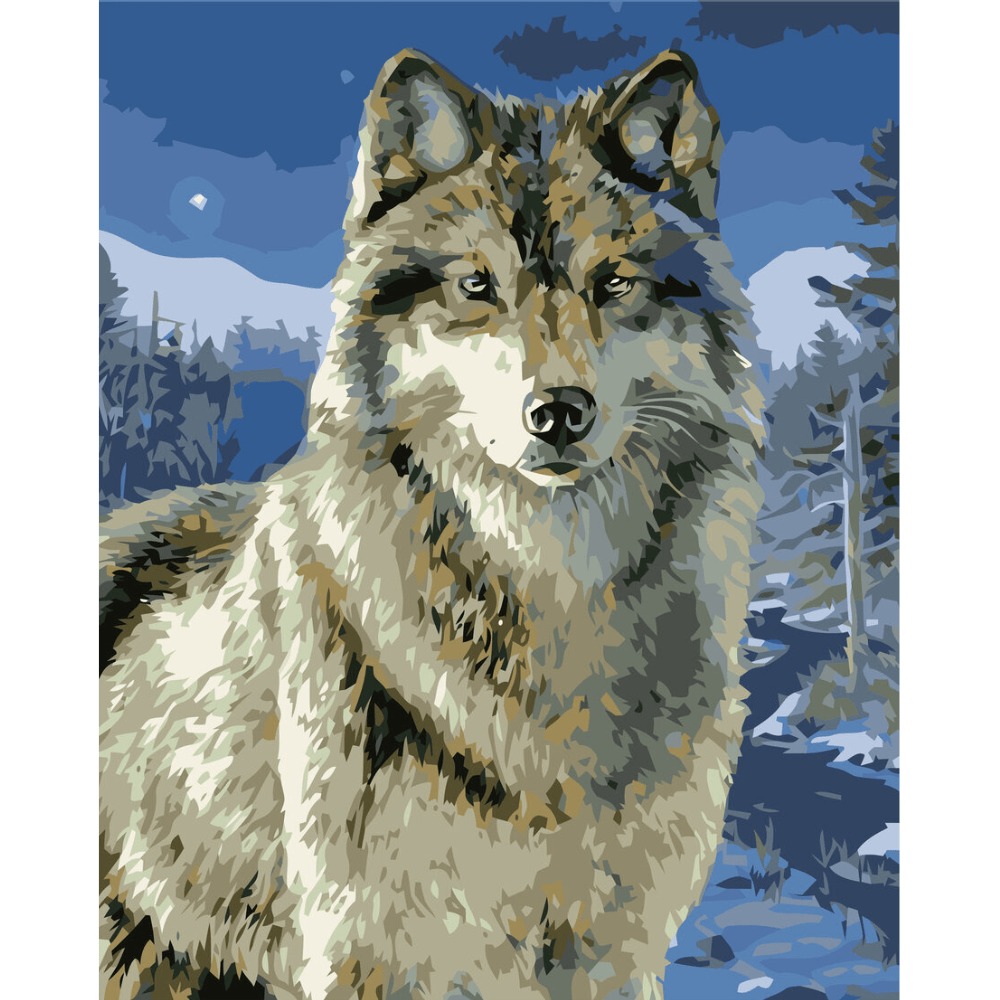 Malen nach Zahlen, Wolf im Winter bei Nacht