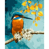 Malen Nach Zahlen Eisvogel & Kolibri - DIY Ölgemälde Kit 40x50cm Für Erwachsene
