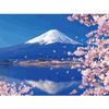 Malen nach Zahlen, Japan, Mount Fuji mit Kirschblüte